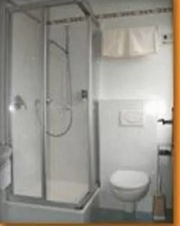 Hotel Frankischer Hof 3*